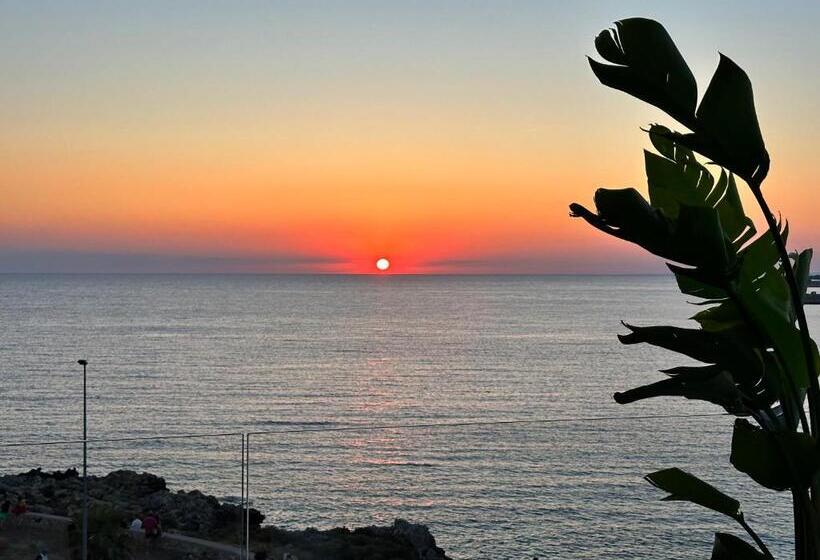 膳宿费 St. Mary   Panoramic Suite & Terrace