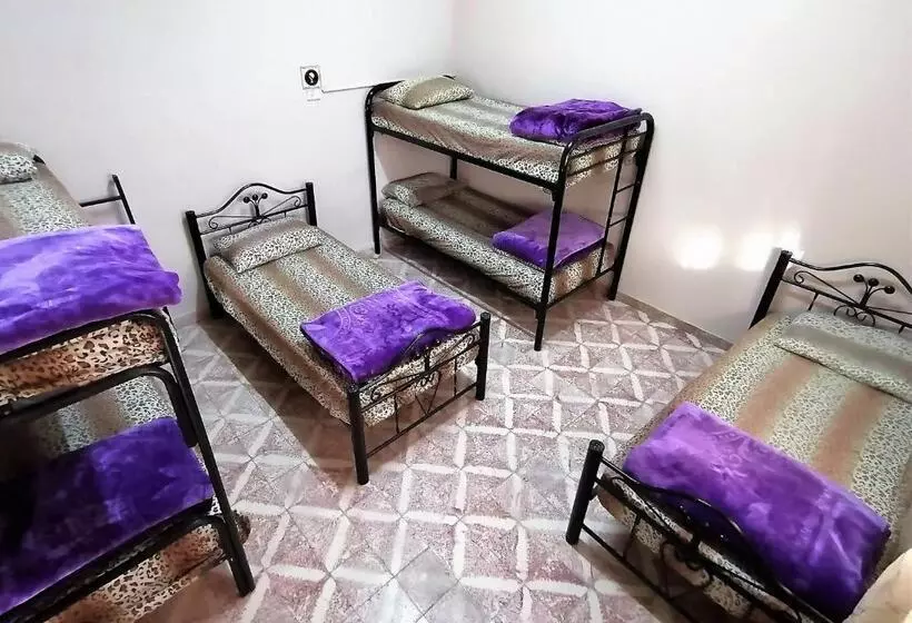 هاستل House Of Peace