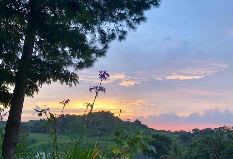 تختخواب و صبحانه Chinyonga Guesthouse