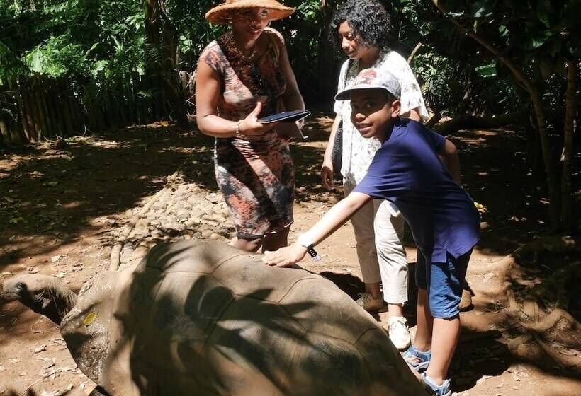 تختخواب و صبحانه Home Sakalava