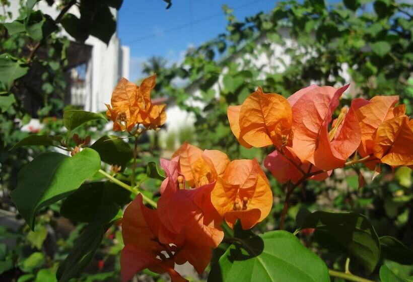 تختخواب و صبحانه Home Sakalava