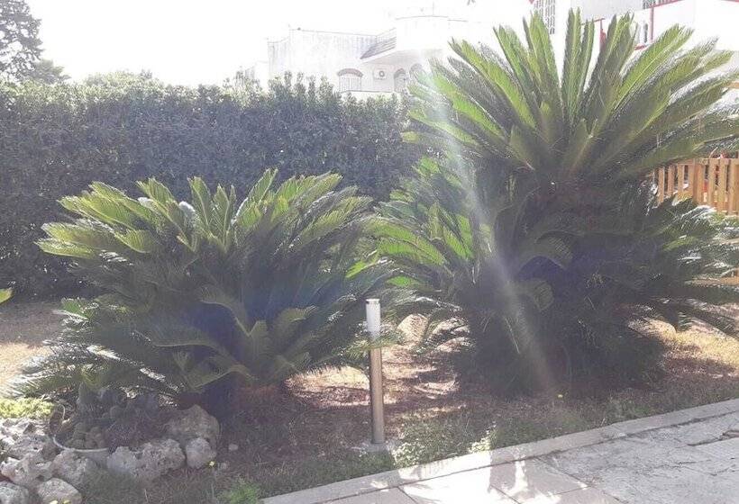 ベッドアンドブレックファースト Villa Del Mar