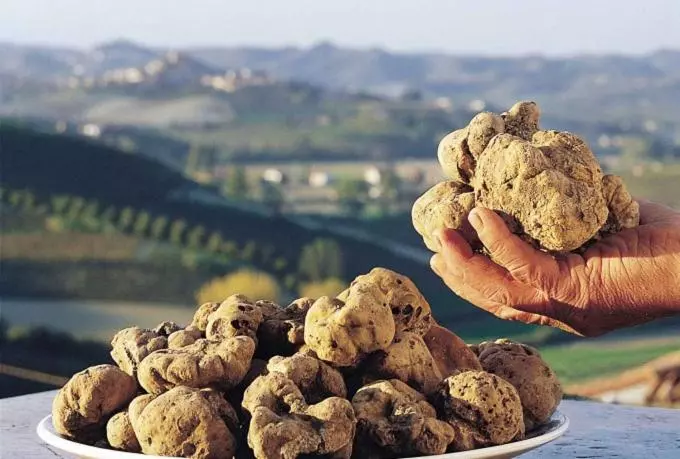 Hotelli Agorà