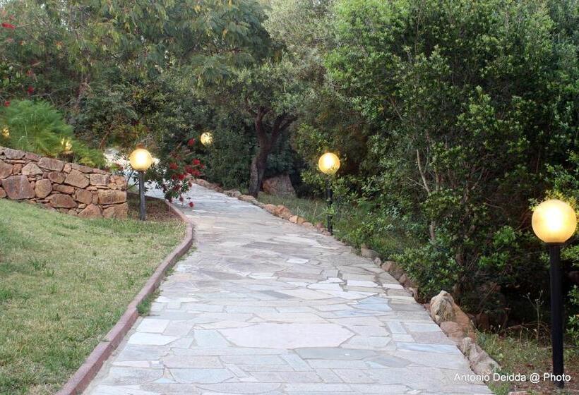 בית מלון כפרי Belvedere