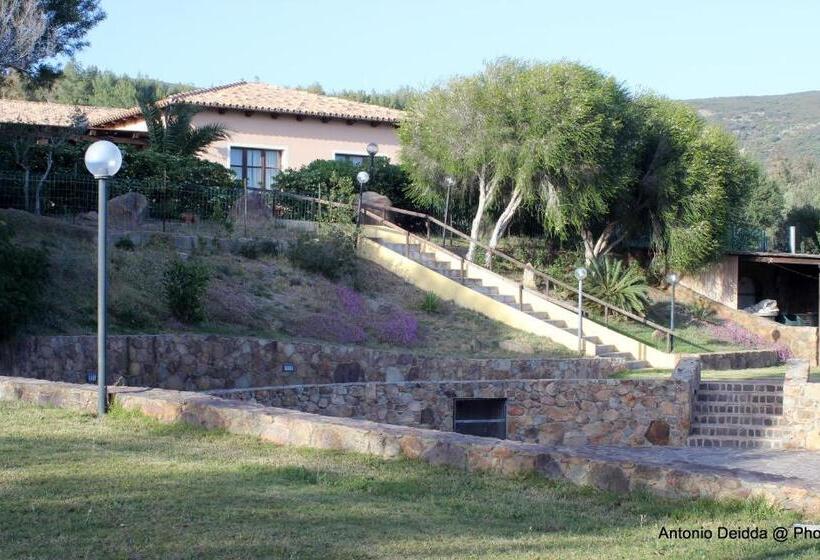 בית מלון כפרי Belvedere