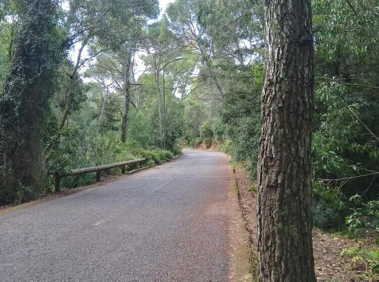 בית מלון כפרי La Terrazza
