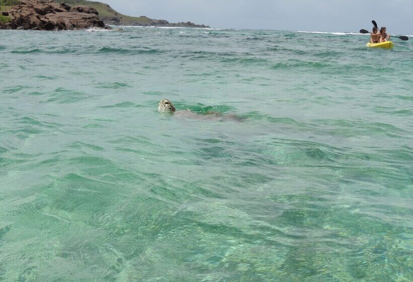 هتل Les Ondines Sur La Plage