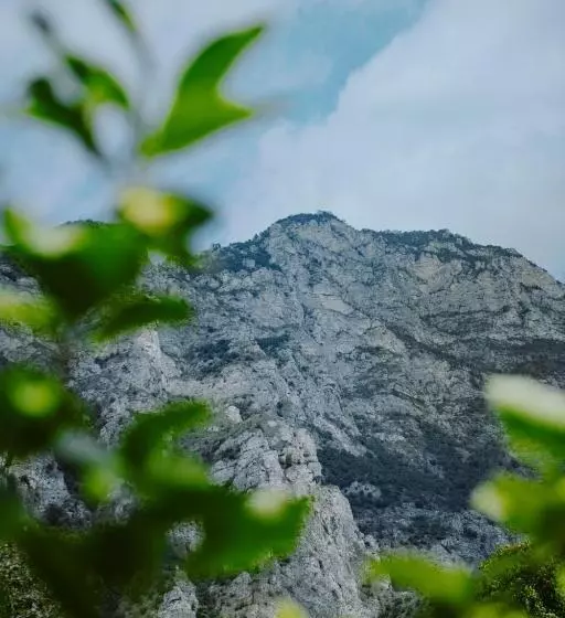 Hotelli Limone