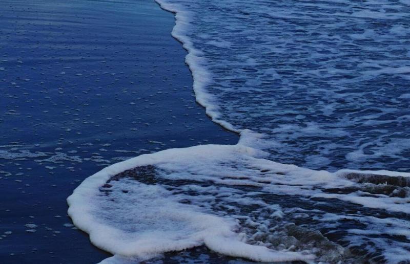 Resort Otel Résidence Marina Beach