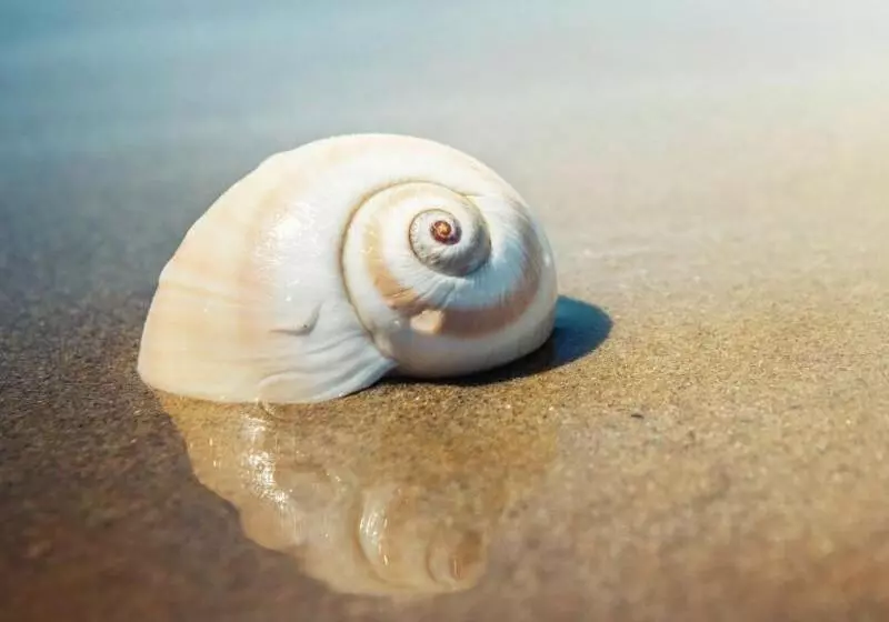 استراحتگاه Résidence Marina Beach