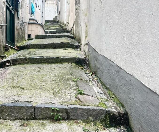 Panzió Josephine’s Rooms