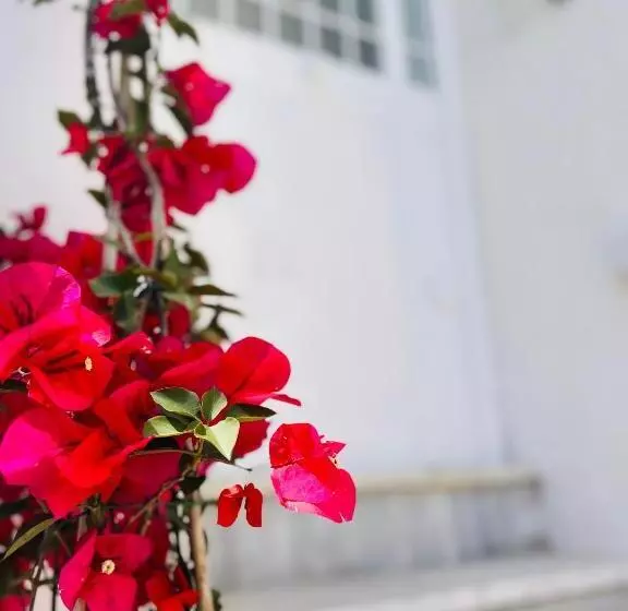 پانسیون Josephine’s Rooms
