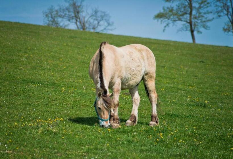 酒店 Zselicvölgy Szabadidőfarm
