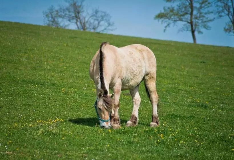 Hotelli Zselicvölgy Szabadidőfarm