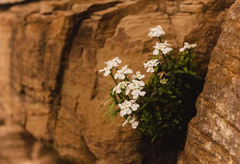 تختخواب و صبحانه Klinec Plešivo Art Rooms