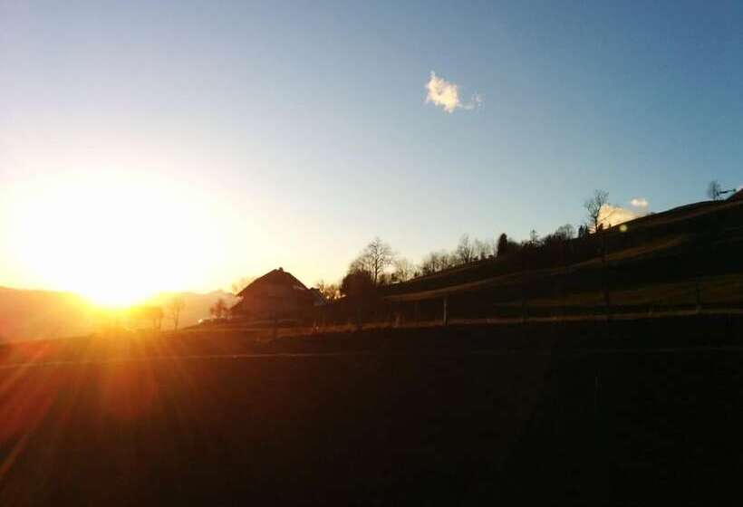 تختخواب و صبحانه Tourist Farm Pr Dovar