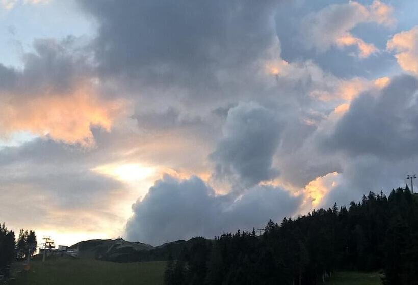 تختخواب و صبحانه Tourist Farm Pr Dovar