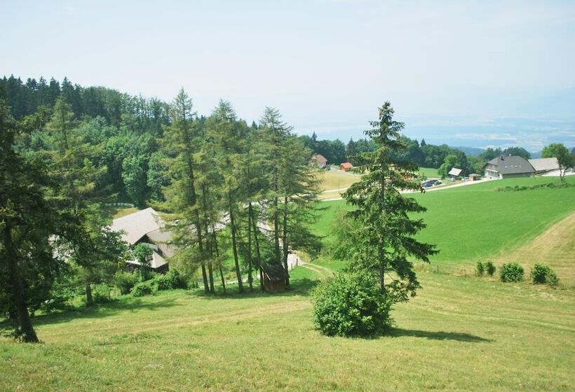 تختخواب و صبحانه Tourist Farm Pr Dovar