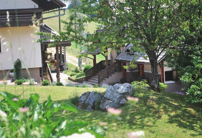 تختخواب و صبحانه Tourist Farm Pr Dovar