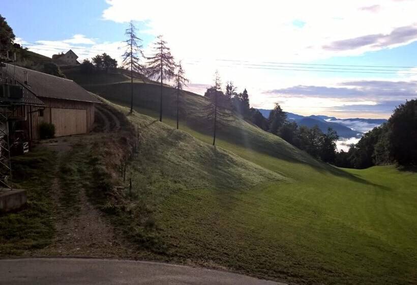 تختخواب و صبحانه Tourist Farm Pr Dovar