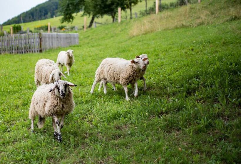 تختخواب و صبحانه Tourist Farm Pr Dovar