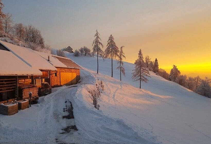 تختخواب و صبحانه Tourist Farm Pr Dovar