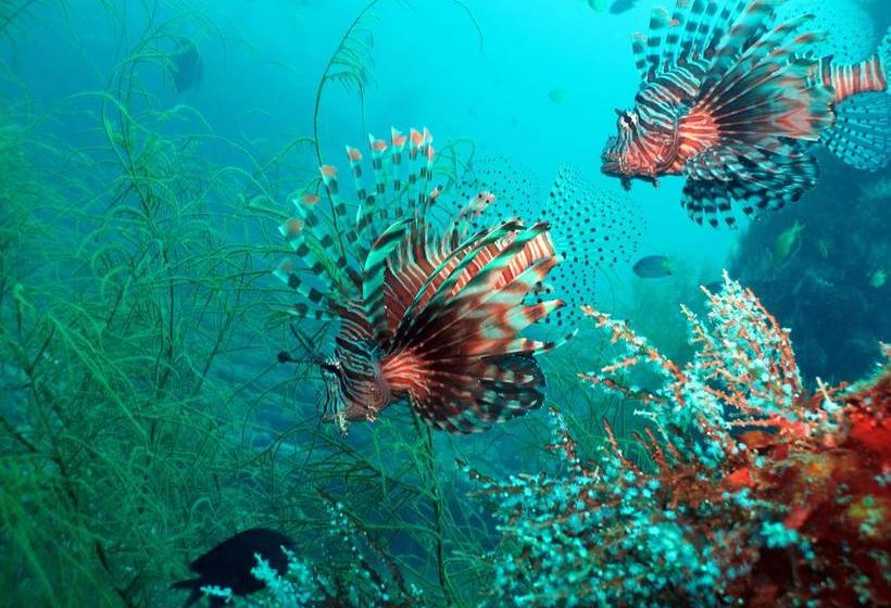 Coral Bay Beach And Dive Resort