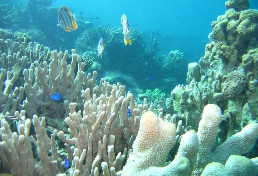 Coral Bay Beach And Dive Resort