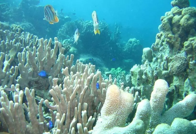 Coral Bay Beach And Dive Resort