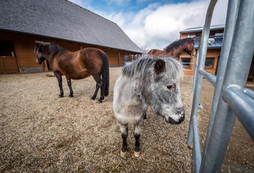 Oravský Háj Garden Hotel & Resort