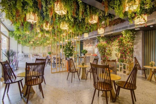 منتجع The Pikus Paradise