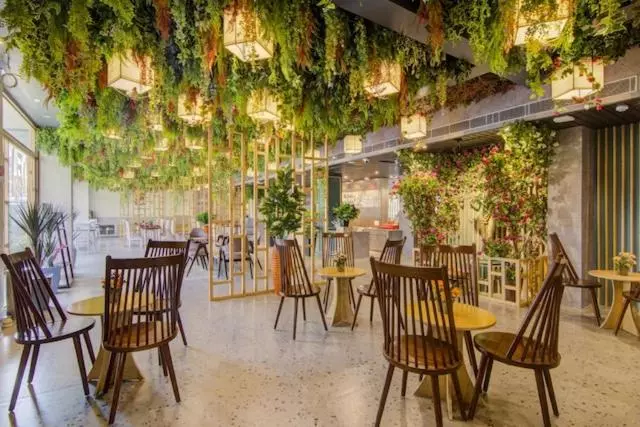 Lomakeskus The Pikus Paradise