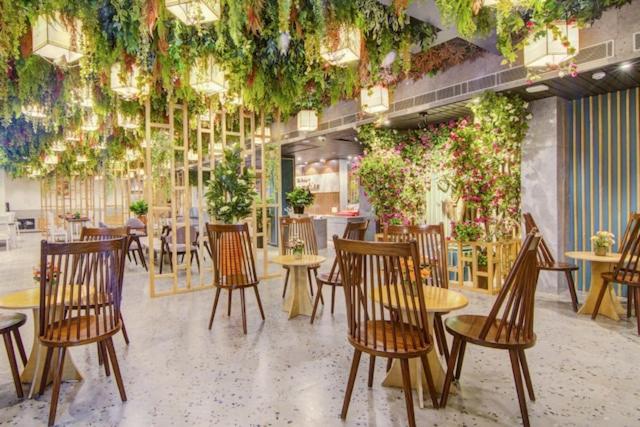 منتجع The Pikus Paradise