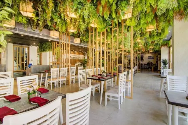 Lomakeskus The Pikus Paradise