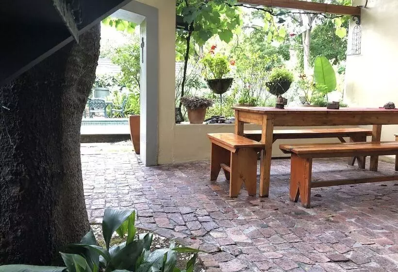 10 Alexander B&b