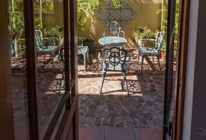 10 Alexander B&b
