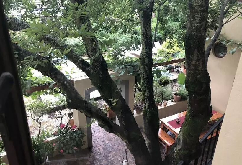10 Alexander B&b