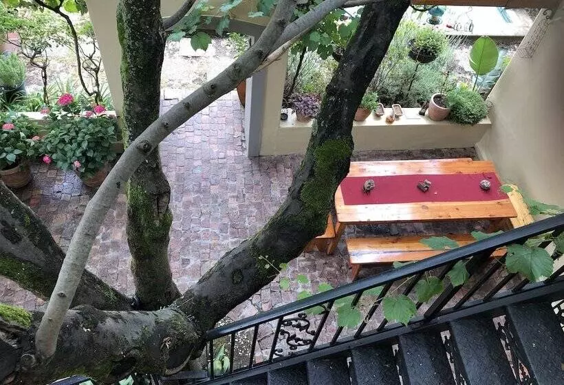 10 Alexander B&b