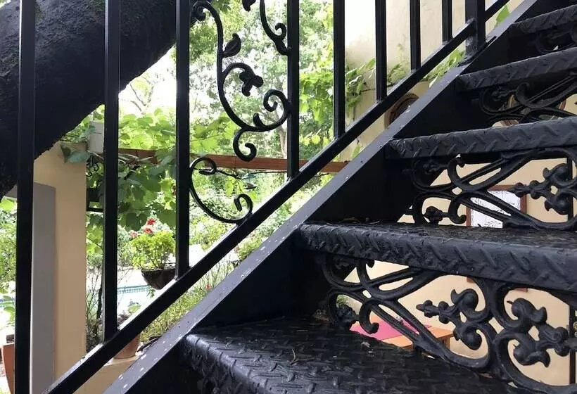 10 Alexander B&b