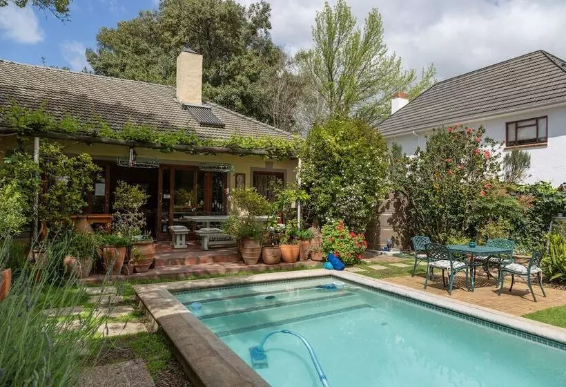 10 Alexander B&b