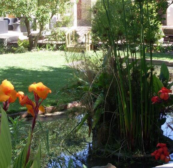 B&b Sauvignon Country Lodge