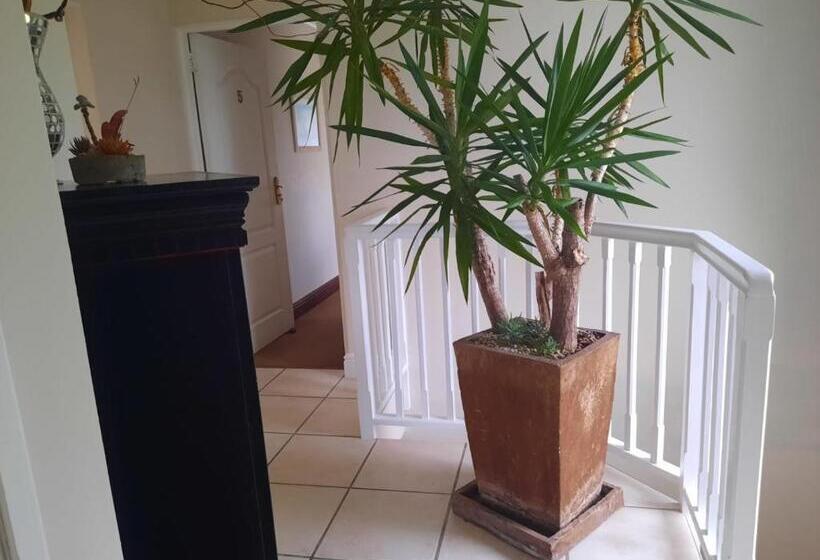 צימר 6 On Protea