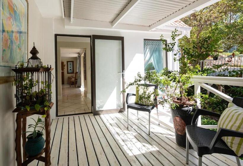 צימר 6 On Protea