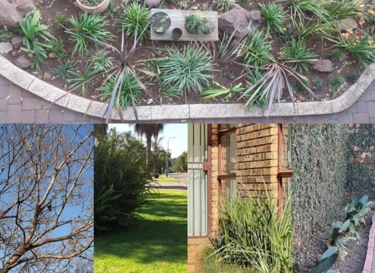 צימר Aero Lodge Guest House