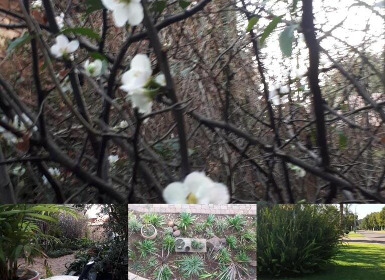 צימר Aero Lodge Guest House