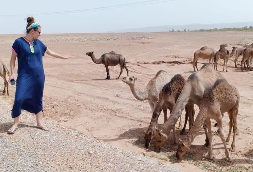 مبيت وإفطار Riad De Reve