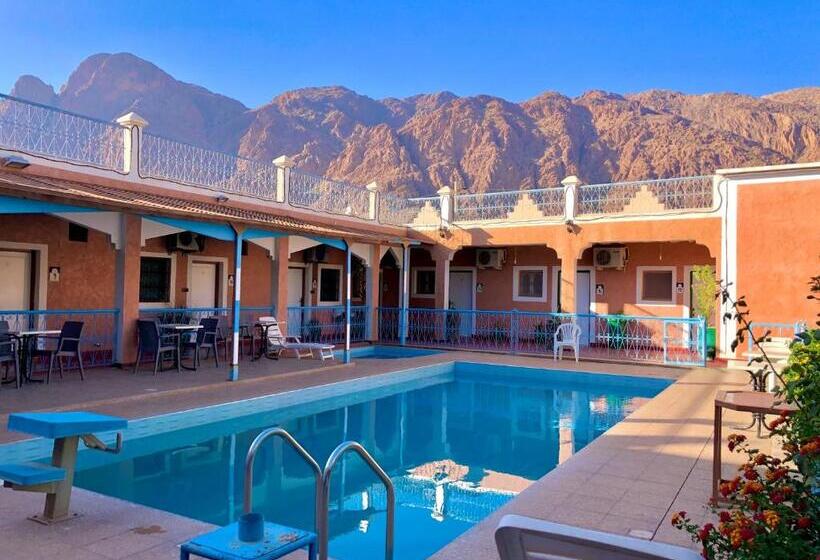 Отель L Arganier D Ammelne