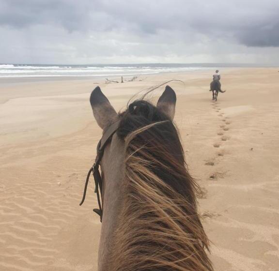 Rosedale Organic Farm Bed & Breakfast