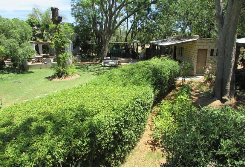 Rosedale Organic Farm Bed & Breakfast