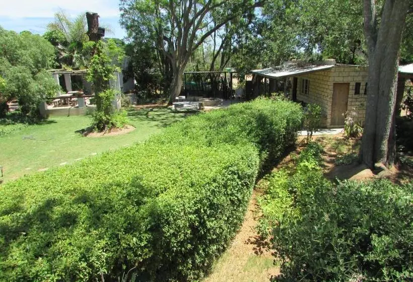 Rosedale Organic Farm Bed & Breakfast